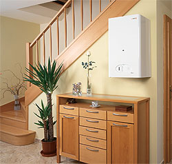 Настенный котел Рысь Protherm
