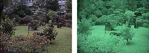 Jpg 294x106, 9603 байт